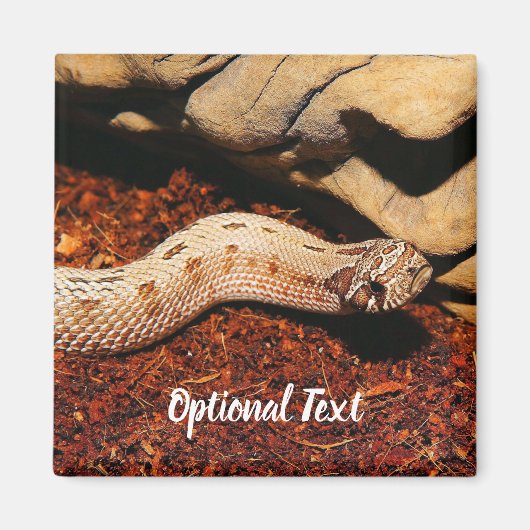 Hognose Pet Snake Magneet (Voorkant)