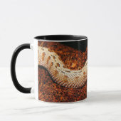 Hognose Pet Snake Mok (Links)