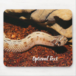Hognose Pet Snake Muismat