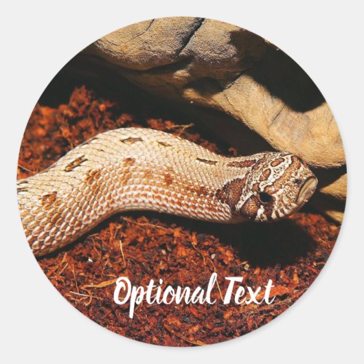Hognose Pet Snake Ronde Sticker (Voorkant)