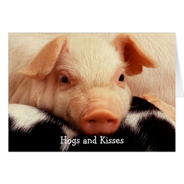 Hogs en Kisses (Voorkant Horizontaal)