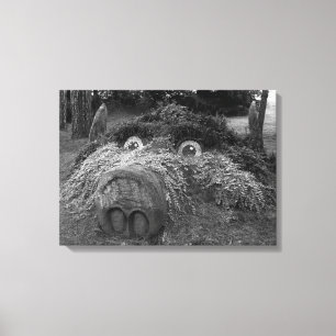 Hogs Head, Bute Park, Cardiff Canvas Afdruk