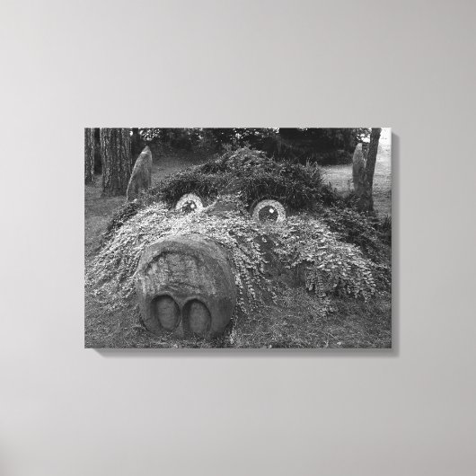 Hogs Head, Bute Park, Cardiff Canvas Afdruk (Voorkant)