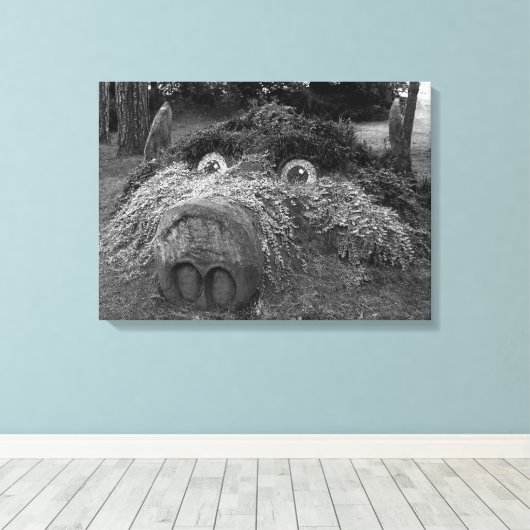 Hogs Head, Bute Park, Cardiff Canvas Afdruk (Insitu (Houten vloer))