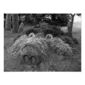 Hogs Head, Bute Park, Cardiff Foto Afdruk (Voorkant)