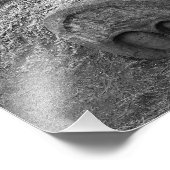 Hogs Head, Bute Park, Cardiff Foto Afdruk (Hoek)