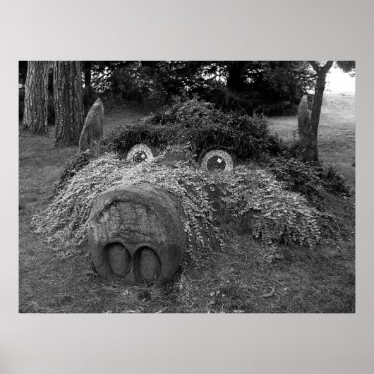 Hogs Head, Bute Park, Cardiff Poster (Voorkant)