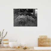 Hogs Head, Bute Park, Cardiff Poster (Keuken)