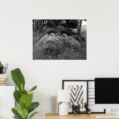 Hogs Head, Bute Park, Cardiff Poster (Thuiskantoor)