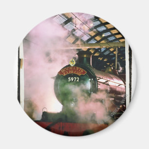 Hogwarts Express Magneet