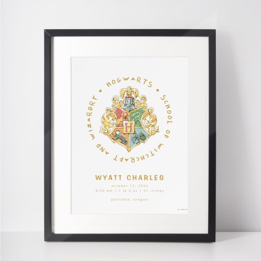 HOGWARTS™-geboorte statistieken poster voor baby's