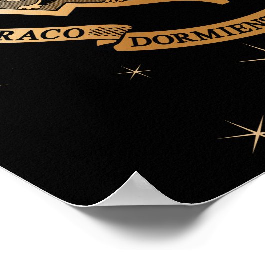 HOGWARTS™ Ghear Golden Crest Poster (Hoek)