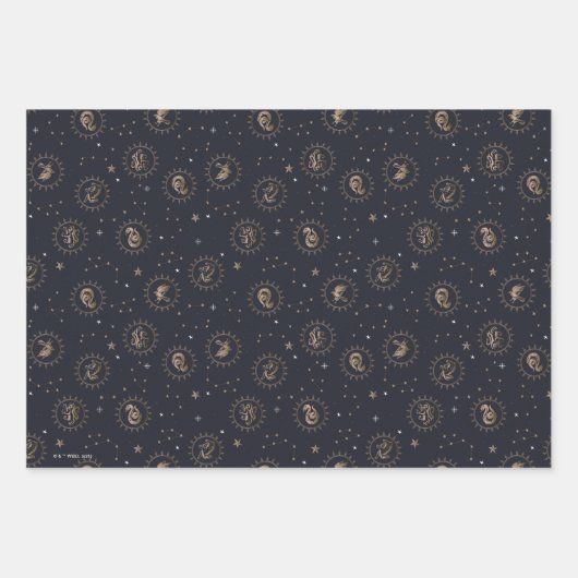 Hogwarts House Crests Constellation Pattern Inpakpapier Vel (Voorkant 3)