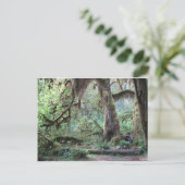 Hoh Rain Forest - Nationaal Park van het Olympisch Briefkaart (Staand voorkant)
