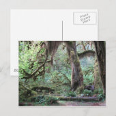 Hoh Rain Forest - Nationaal Park van het Olympisch Briefkaart (Voorkant / Achterkant)