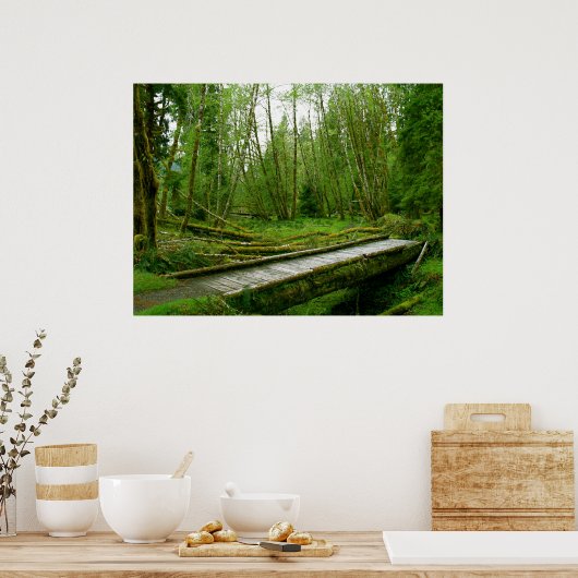 Hoh Rain Forest - Nationaal Park van het Olympisch Poster (Keuken)
