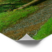 Hoh Rain Forest - Nationaal Park van het Olympisch Poster (Hoek)