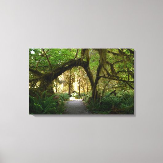 Hoh Rainforest Olympisch schiereiland Washington Canvas Afdruk (Voorkant)
