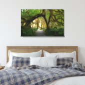 Hoh Rainforest Olympisch schiereiland Washington Canvas Afdruk (Insitu (Slaapkamer))