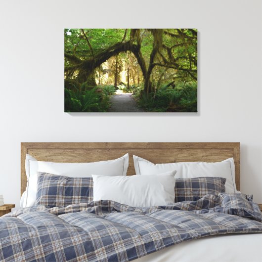 Hoh Rainforest Olympisch schiereiland Washington Canvas Afdruk (Insitu (Slaapkamer))