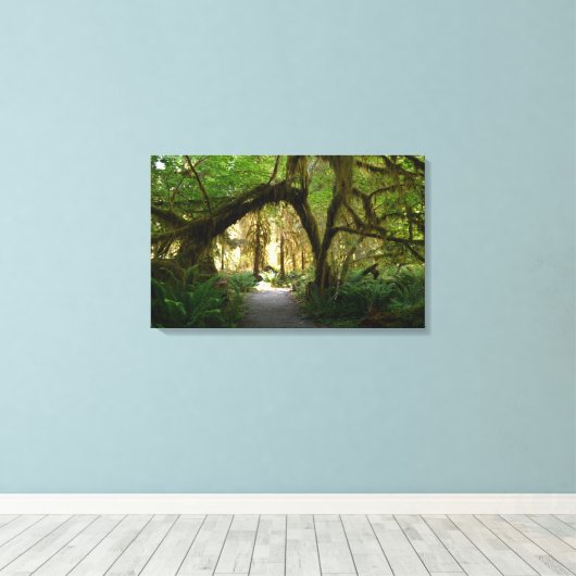 Hoh Rainforest Olympisch schiereiland Washington Canvas Afdruk (Insitu (Houten vloer))