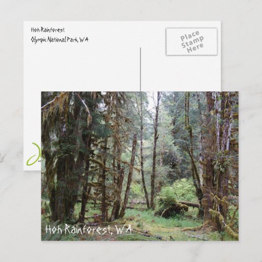 Hoh Rainforest, staat Washington, Briefkaart (Voorkant / Achterkant)