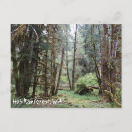 Hoh Rainforest, staat Washington, Briefkaart