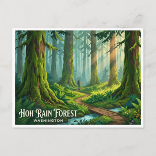 Hoh-regenwoud Forks Washington Briefkaart