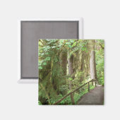 Hoh Valley Rain Forest Magneet (Voorkant / Achterkant)
