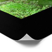 Hoh Valley Rain Forest Poster (stream) (Hoek)