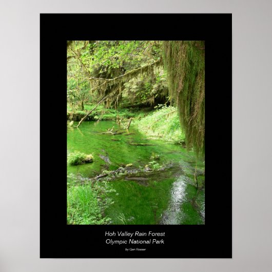Hoh Valley Rain Forest Poster (stream) (Voorkant)