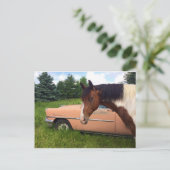 Hoi! Briefkaart (Staand voorkant)