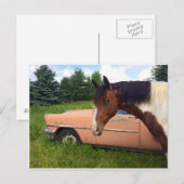 Hoi! Briefkaart (Voorkant / Achterkant)