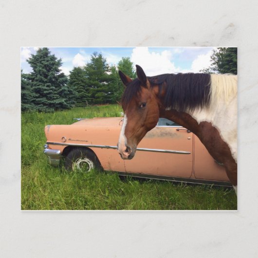 Hoi! Briefkaart (Voorkant)