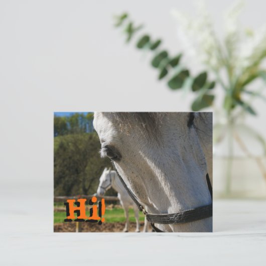 Hoi! Briefkaart (Staand voorkant)