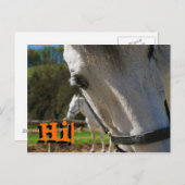 Hoi! Briefkaart (Voorkant / Achterkant)