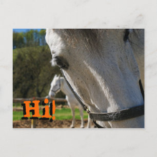 Hoi! Briefkaart