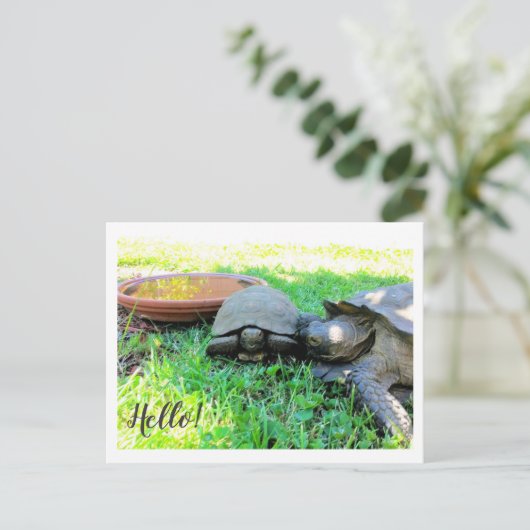 Hoi! Briefkaart (Staand voorkant)