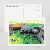 Hoi! Briefkaart (Voorkant / Achterkant)