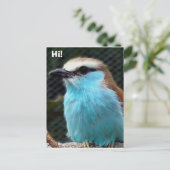 Hoi! Briefkaart (Staand voorkant)