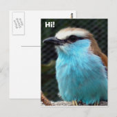 Hoi! Briefkaart (Voorkant / Achterkant)