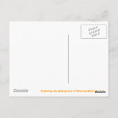 Hoi! Briefkaart (Achterkant)