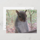 Hoi! Briefkaart (Voorkant / Achterkant)