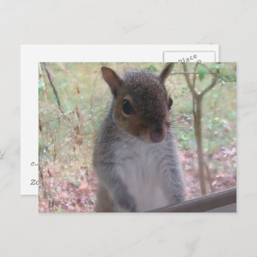 Hoi! Briefkaart (Voorkant / Achterkant)