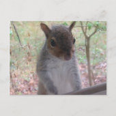 Hoi! Briefkaart (Voorkant)