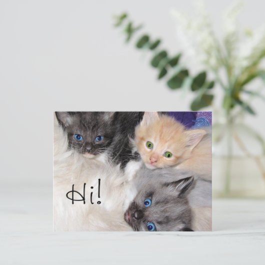 Hoi! Briefkaart (Staand voorkant)