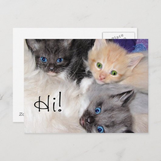 Hoi! Briefkaart (Voorkant / Achterkant)