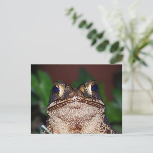 Hoi! Briefkaart (Staand voorkant)