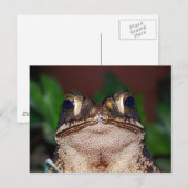 Hoi! Briefkaart (Voorkant / Achterkant)