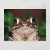 Hoi! Briefkaart (Voorkant)